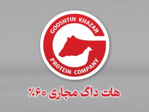 هات داگ مجاری ۶۰٪