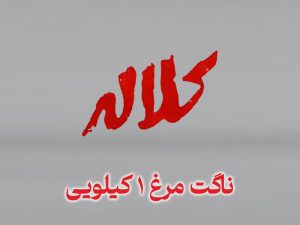 ناگت مرغ ۱ کیلوگرمی