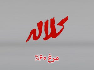 مرغ ۶۰٪
