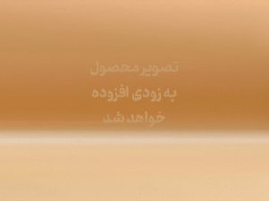 کراکت مرغ و پنیر 2/5 کیلوگرمی